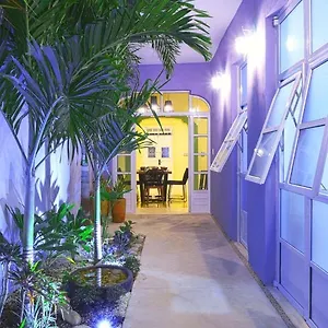 Casa Violeta Holiday home